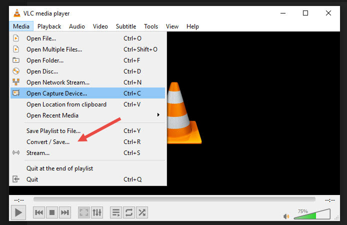 Vlc record 2024