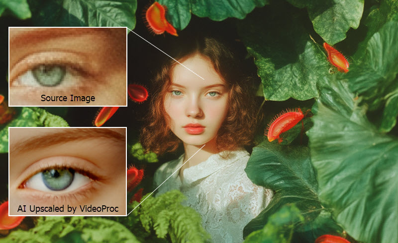 Compare the Upscaled Image vs Source Image