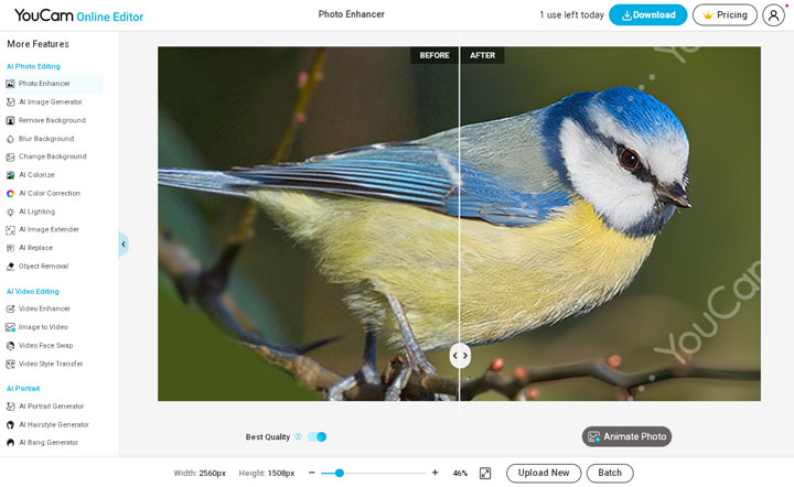 YouCam Enhance Upscale Image Test
