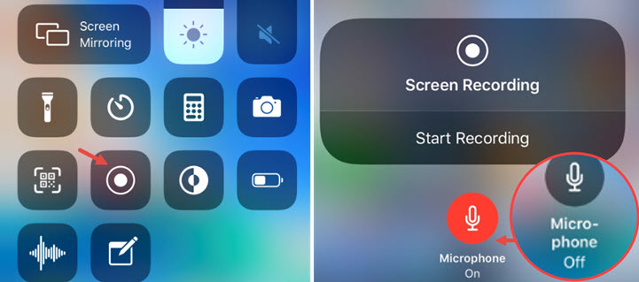 Enable Microphone or Internal Sound to Fix iPhone Screen Recording No Sound Issue