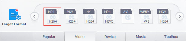 file formats supported by adobe premiere pro cs2