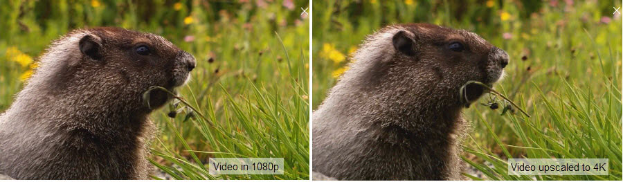 1080p vs upscaled 4K